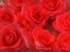e-cards
